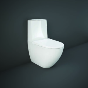RAK Des Close Coupled Back To Wall Pan